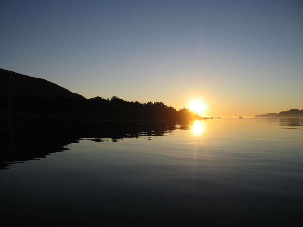 Toftenes Sjohuscamping Alsvåg Εξωτερικό φωτογραφία